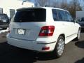 2010 GLK 350 4Matic #5