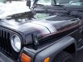 1999 Wrangler Sport 4x4 #14