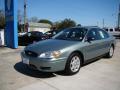 2006 Taurus SE #4