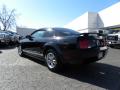 2006 Mustang V6 Deluxe Coupe #20