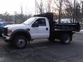 2010 F550 Super Duty XL Regular Cab 4x4 Dump Truck #2