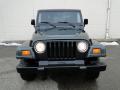 2002 Wrangler Sahara 4x4 #4 2002 Wrangler Sahara 4x4 #4