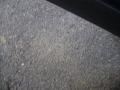 2002 Passat GLS Sedan #22