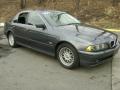 2001 5 Series 525i Sedan #10