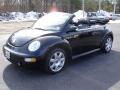 2003 New Beetle GLS 1.8T Convertible #10