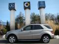 2009 ML 350 4Matic #3