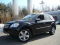 2009 ML 350 4Matic #1