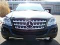 2009 ML 350 4Matic #2