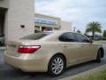 2007 LS 460 #6
