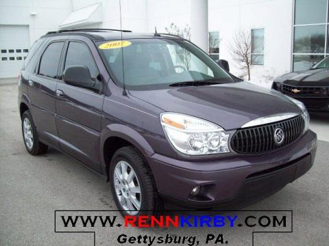Amethyst Metallic Buick Rendezvous CX.  Click to enlarge.