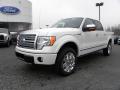 2010 F150 Lariat SuperCrew 4x4 #6