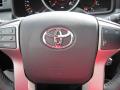 2010 4Runner Limited #9