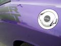 2010 Challenger R/T Classic #9