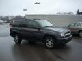2007 TrailBlazer LS 4x4 #1