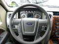 2010 F150 Lariat SuperCrew 4x4 #19
