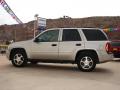 2007 TrailBlazer LS #10