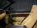 2007 Continental GTC  #11