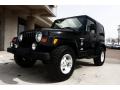 2001 Wrangler Sahara 4x4 #16