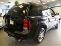 2007 TrailBlazer LS 4x4 #6