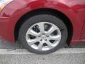 2007 Maxima 3.5 SL #18