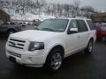 2010 Expedition Limited 4x4 #11