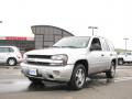 2008 TrailBlazer LT 4x4 #2 2008 TrailBlazer LT 4x4 #2