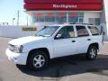 2006 TrailBlazer LS 4x4 #1