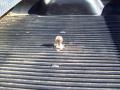 2004 F250 Super Duty Lariat Crew Cab 4x4 #6