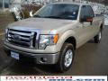 2010 F150 XLT SuperCab 4x4 #2