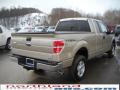 2010 F150 XLT SuperCab 4x4 #6