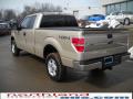 2010 F150 XLT SuperCab 4x4 #8