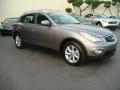 2009 EX 35 Journey AWD #8