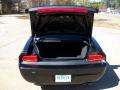 2009 Challenger R/T #19