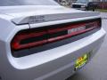 2009 Challenger R/T #22