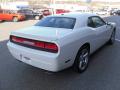 2010 Challenger R/T #4