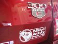 2008 300 C HEMI #9