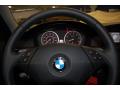 2010 5 Series 528i Sedan #32