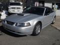 2004 Mustang V6 Convertible #3