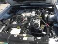 2004 Mustang V6 Convertible #19