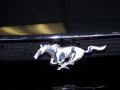 1998 Mustang SVT Cobra Convertible #12