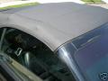 1998 Mustang SVT Cobra Convertible #36