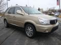 2006 Rendezvous CXL AWD #5