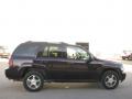 2009 TrailBlazer LT 4x4 #4