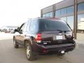 2009 TrailBlazer LT 4x4 #6