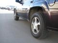 2009 TrailBlazer LT 4x4 #7