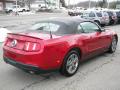 2010 Mustang V6 Premium Convertible #3