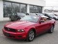 2010 Mustang V6 Premium Convertible #16