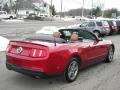2010 Mustang V6 Premium Convertible #18
