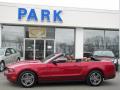 2010 Mustang V6 Premium Convertible #19