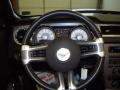 2010 Mustang V6 Premium Convertible #9